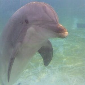 Meet your Posher, Estefania